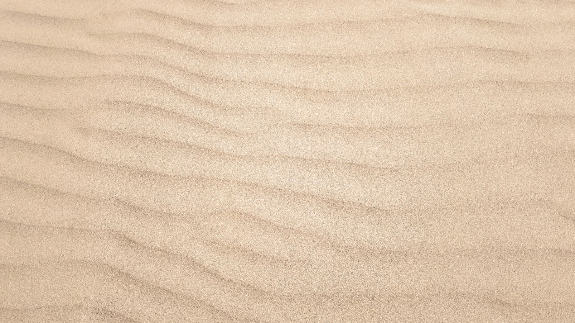 Sand Dune Ripples